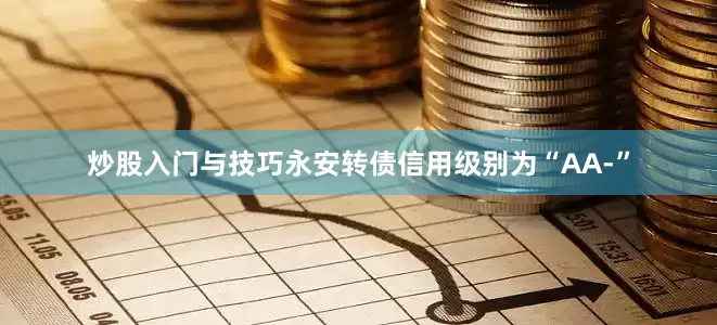 炒股入门与技巧永安转债信用级别为“AA-”