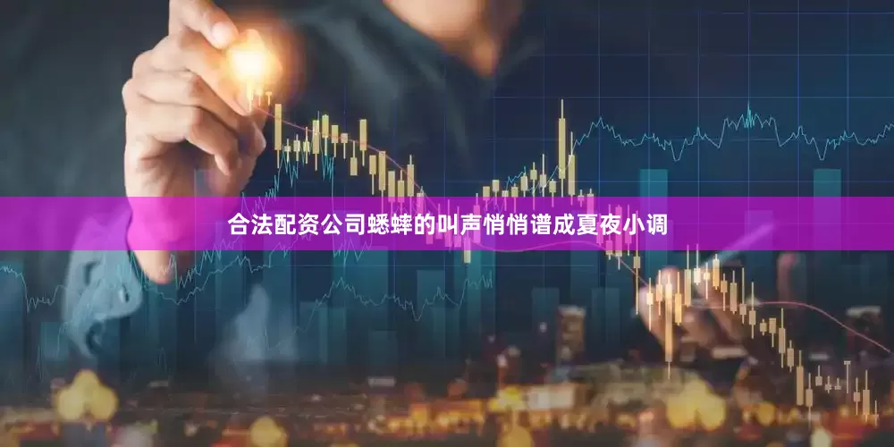 合法配资公司蟋蟀的叫声悄悄谱成夏夜小调