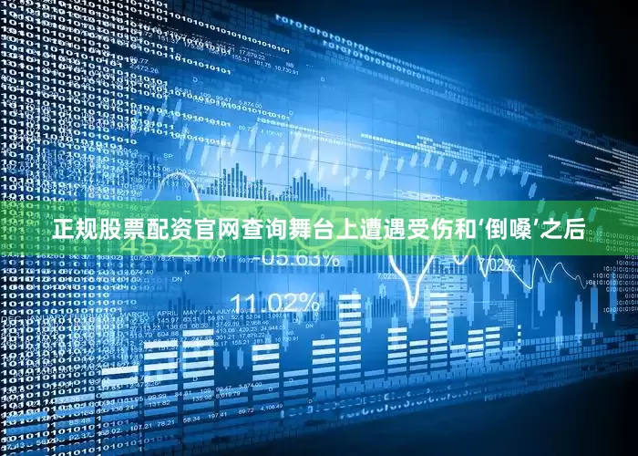 正规股票配资官网查询舞台上遭遇受伤和‘倒嗓’之后